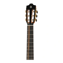 Гитара классическая Alhambra 8.897 Green Sustain CTW E8