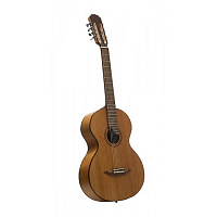 Акустическая 7-струнная гитара Doff RG (30426)