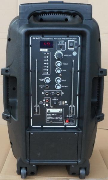 Активная акустическая система HL Audio SKA-12T