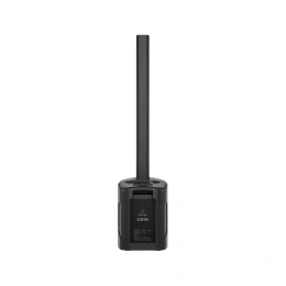 Активная акустическая система Behringer C210