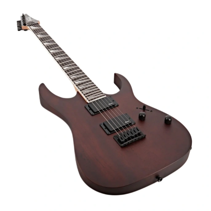 Электрогитара Ibanez GRG121DX WNF