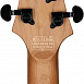 Электрогитара Schecter C-1 Standart BB