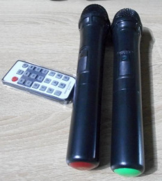 Активная акустическая система HL Audio SKA-12T