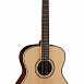Гитара акустическая Parkwood P820