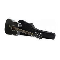 Акустическая гитара Gewa Axman F501316778