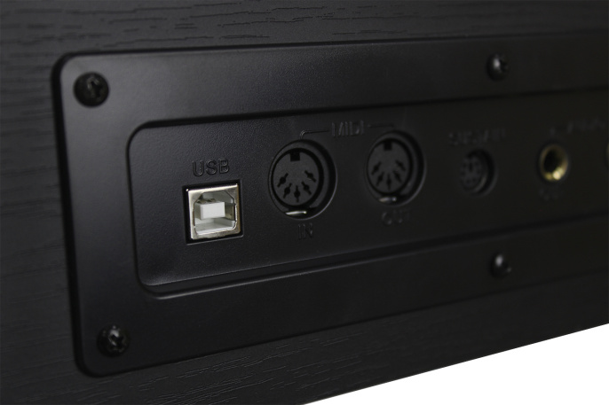 Цифровое пианино Solista DP801BK
