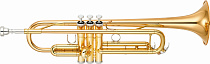 Труба  Yamaha YTR-4335Gll