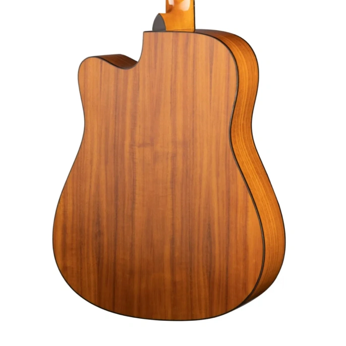 Акустическая гитара Ramis RA-G02C