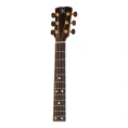 Акустическая гитара Kremona M20C Steel String Series