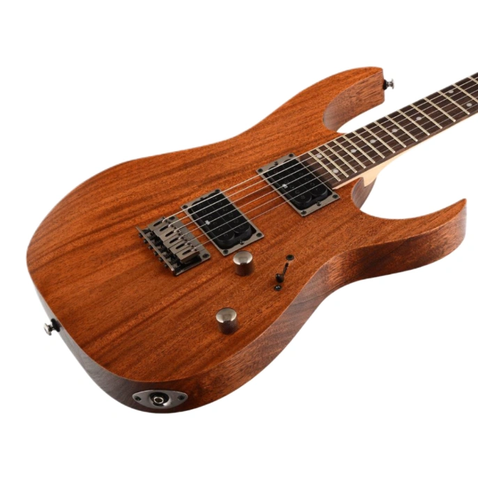 Электрогитара Ibanez RG421-MOL
