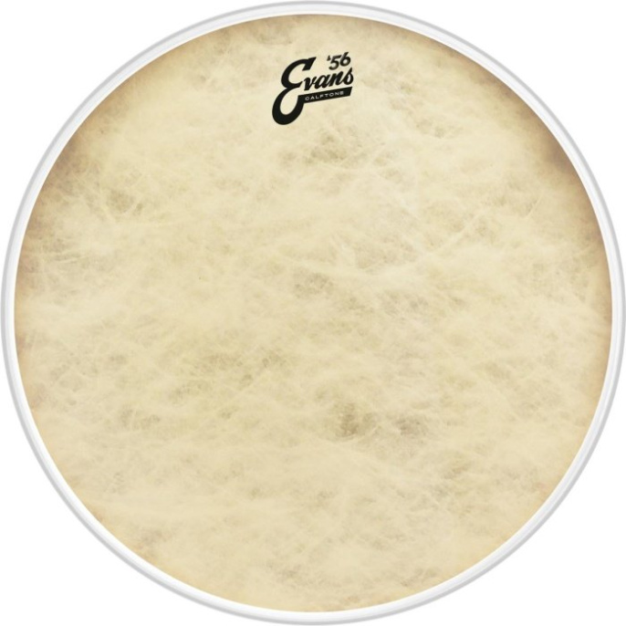 Пластик Evans BD22CT