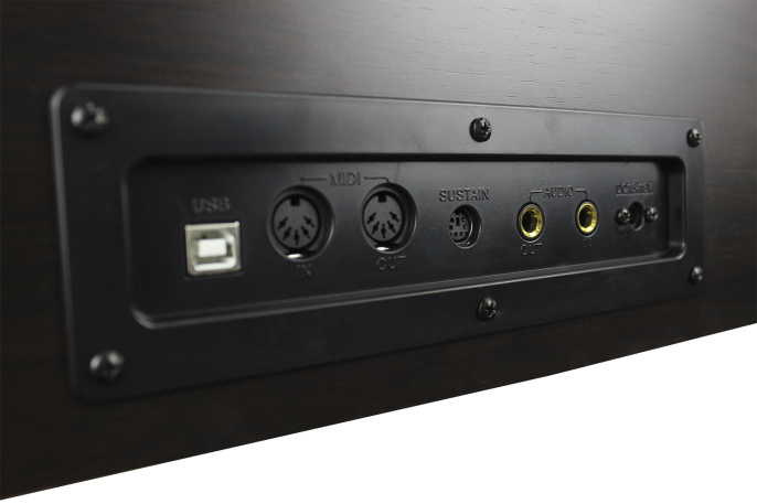 Цифровое пианино Solista DP801R