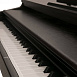 Цифровое пианино Nux WK-520 Brown