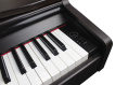 Цифровое пианино Solista DP801R