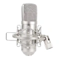 Микрофон Alctron MC001