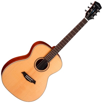 Гитара акустическая Parkwood S22-GT
