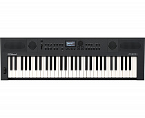 Цифровое пианино Roland GO:KEYS-5 Graphite