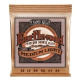 Струны для акустической гитары Ernie Ball 2146 12-54