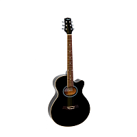 Акустическая гитара Aris JS-40С BK