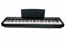Цифровое фортепиано Solista DP-125BK
