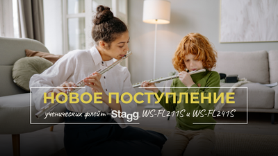 Новое поступление! Поперечные флейты Stagg для начинающих музыкантов.