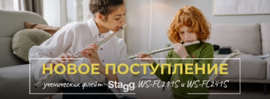 Новое поступление! Поперечные флейты Stagg для начинающих музыкантов.