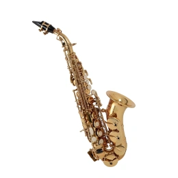 Саксофон Сопрано Bb Roy Benson SG-302