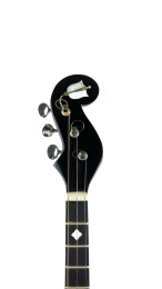 Домра малая 3-хструнная Фабрика музыки Концертная, сольная