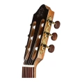 Классическая гитара Kremona Fiesta-FS-w/case Spruce Artist Series