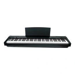 Цифровое фортепиано Solista DP-125BK