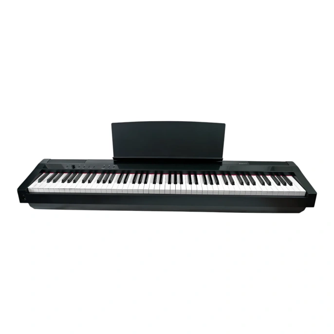 Цифровое фортепиано Solista DP-125BK