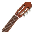 Классическая гитара Cort AC100 SG