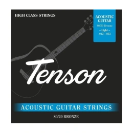 Струны для акустической гитары Tenson GEWApure F600700