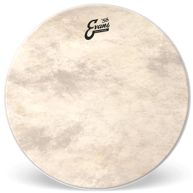 Пластик Evans BD18CT