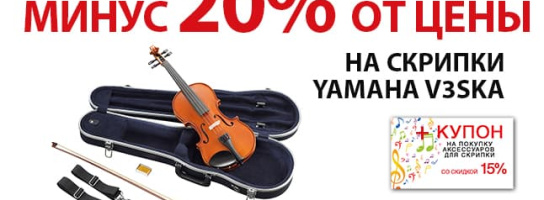 Вы уверены, что знаете все о скрипках на MUZ.BY?