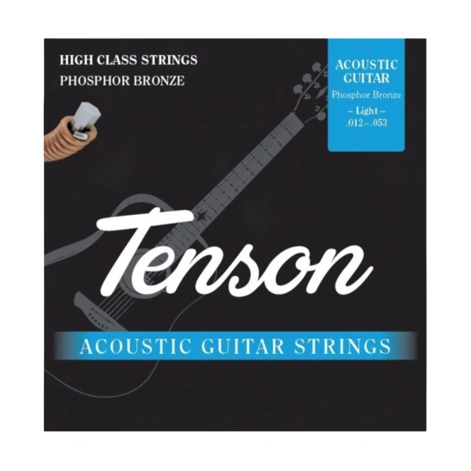 Струны для акустической гитары Tenson GEWApure F600750