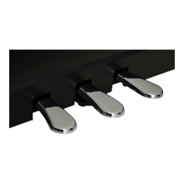 Цифровое пианино Kawai CN-301 Premium Satin Black