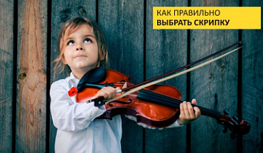Скрипки в "Музыке": как выбрать и что купить 