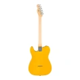 Электрогитара Fender STD Tele MN BPG BTB