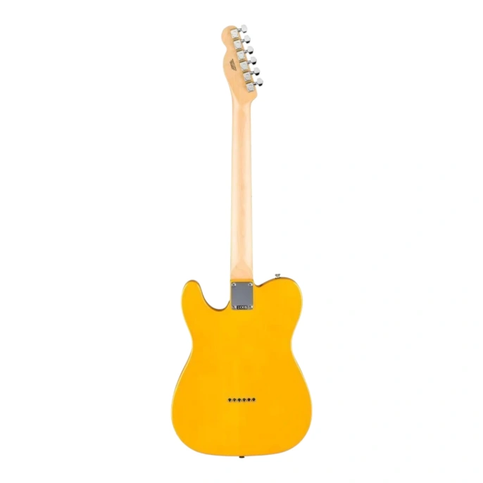 Электрогитара Fender STD Tele MN BPG BTB