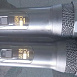 Активная акустическая система HL Audio SKA-15T