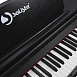 Цифровое пианино Solista DP801BK