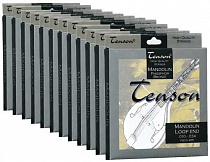 Струны для мандолины Tenson GEWApure F600.455