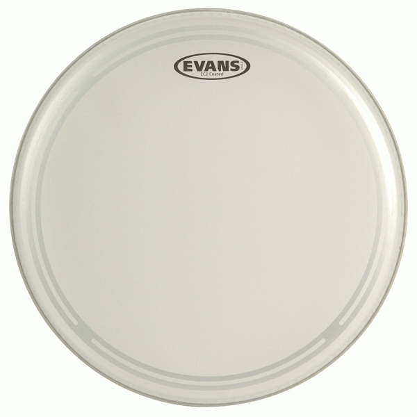 Пластик Evans B10ECS