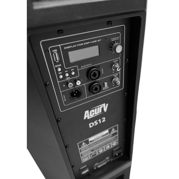 Акустическая система Acury DS12