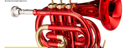 Обновили ассортимент бюджетных духовых Roy Benson