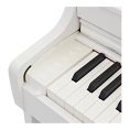 Цифровое пианино Casio Celviano AP-300WE