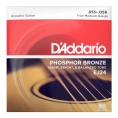 Струны для акустической гитары D'Addario EJ24 13-56