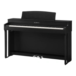 Цифровое пианино Kawai CN-301 Premium Satin Black