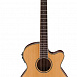 Электроакустическая гитара  Ibanez AEG15II-LG (A041360)
